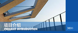 項目介紹